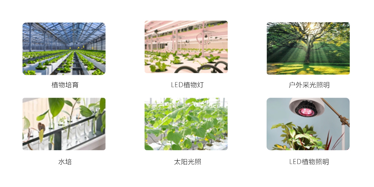 微信图片_20261014151430_1404_17
